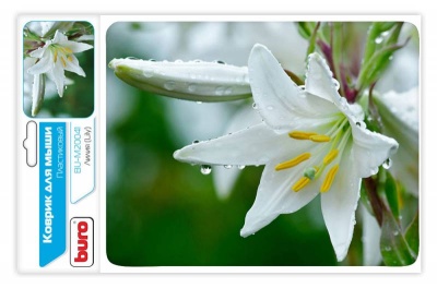 Коврик для мыши Buro BU-M20041 рисунок/лилия 230x180x2мм (25 шт. в упаковке)