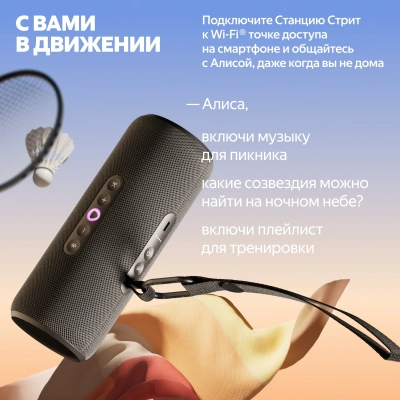 Умная колонка Yandex Станция Стрит Алиса черный 30W 2.0 BT/Wi-Fi 10м 3300mAh (YNDX-00030BLK)