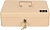 Ящик для денег Cactus CS-CB-004WT CS-CB-004 90x300x240 бежевый металл