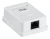 Розетка ITK CS2-1C5EU-12 настен. RJ45 1 кат.5E UTP бел. Розетка ITK CS2-1C5EU-12 настен. RJ45 1 кат.5E UTP бел.