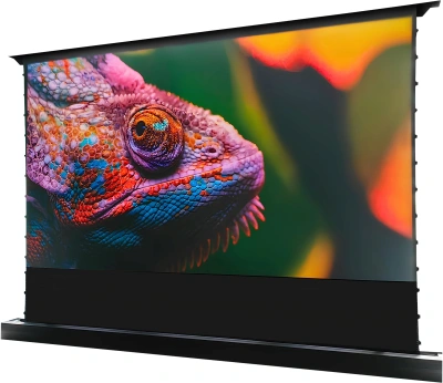 Экран Cactus 100" 125x221см FloorRising CS-PSFRCLR-221X125 16:9 напольный рулонный черный (моторизованный привод)