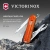 Нож перочинный Victorinox Classic SD Fire Opal (0.6223.T82G) 58мм 7функц. подар.коробка Нож перочинный Victorinox Classic SD Fire Opal (0.6223.T82G) 58мм 7функц. подар.коробка
