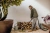 Строительный пылесос Karcher WD 3 V-17/4/20 1000Вт (уборка: сухая/влажная) желтый Строительный пылесос Karcher WD 3 V-17/4/20 1000Вт (уборка: сухая/влажная) желтый
