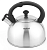 Чайник металлический Tefal Wawe N4210117 2.5л. серебристый (3110602015)