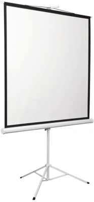 Экран на треноге Digis 135" 248x250см Kontur-D DSKD-1108 1:1 напольный рулонный белый