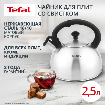 Чайник металлический Tefal Wawe N4210117 2.5л. серебристый (3110602015)