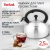 Чайник металлический Tefal Wawe N4210117 2.5л. серебристый (3110602015) Чайник металлический Tefal Wawe N4210117 2.5л. серебристый (3110602015)