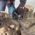 Цепная пила Makita UC3041A от сети 1800Вт дл.шины:12" (30cm) Цепная пила Makita UC3041A от сети 1800Вт дл.шины:12" (30cm)