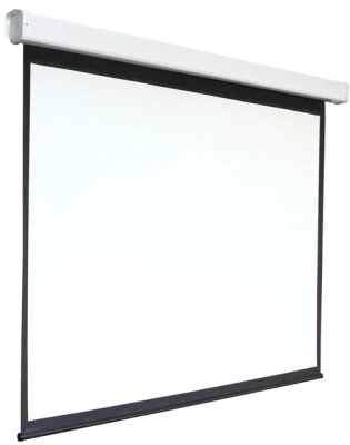 Экран Digis 156" 280x280см Electra-F DSEF-1109 1:1 настенно-потолочный рулонный (моторизованный привод)