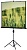 Экран Lumien 67" 127x127см Master Picture LMP-100101 1:1 настенный рулонный белый