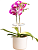 Светильник фито Cactus GARDEN светод. 7.5Вт цв.св.:белый (CS-LED-ORCHID)