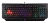 Клавиатура A4Tech B120N черный USB Multimedia for gamer LED (подставка для запястий) кабель 1.8м Клавиатура A4Tech B120N черный USB Multimedia for gamer LED (подставка для запястий) кабель 1.8м