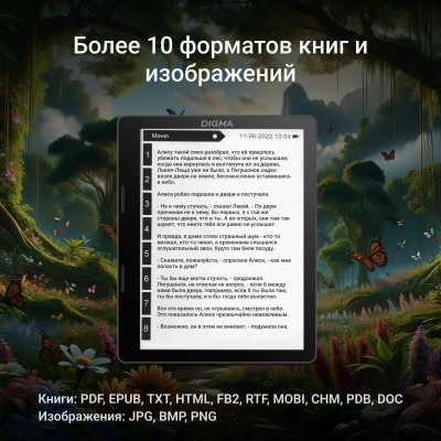 Электронная книга Digma F4 5.83" E-Ink 680x920 Touch Screen 1.2Ghz 1Gb/8Gb/SD/microSDHC/подсветка дисплея черный