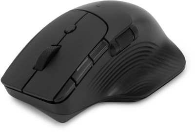 Мышь Оклик 501MW черный оптическая 2400dpi беспров. USB для ноутбука 6but (1877553)