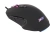 Мышь Acer OMW160 черный оптическая 6400dpi USB 8but (ZL.MCEEE.00Q) Мышь Acer OMW160 черный оптическая 6400dpi USB 8but (ZL.MCEEE.00Q)