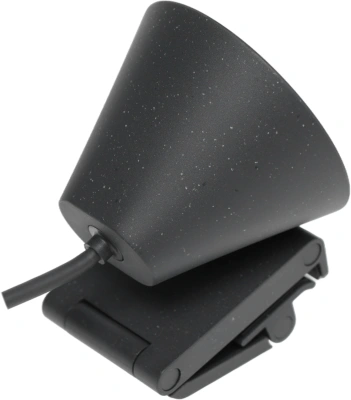 Камера Web Logitech HD Webcam Brio 300 черный 2Mpix (1920x1080) USB Type-C с микрофоном (960-001438)