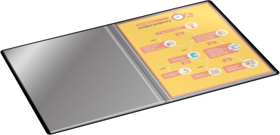 Папка с 20 прозр.вклад. Бюрократ -BPV20BLACK A4 пластик 0.6мм торц.карм с бум. встав черный