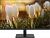 Монитор Dahua 23.8" DHI-LM24-A201A черный IPS LED 5ms 16:9 HDMI M/M матовая HAS Piv 1000:1 250cd 178гр/178гр 1920x1080 100Hz VGA DP FHD 5кг