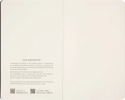 Блокнот Moleskine CAHIER NASA-INSPIRED SKCAHLP7063S2 Large 130х210мм 120стр. нелинованный мягкая обложка серебристый/черный Moon (2шт)