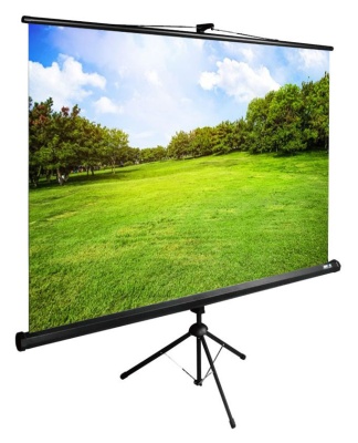 Экран Cactus 98" 150x200см TriExpert CS-PSTE-200x150-BK 4:3 напольный рулонный черный
