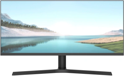Монитор NPC 29" MZ300L черный IPS LED 21:9 (Ultrawide) HDMI M/M матовая HAS 1000:1 250cd 178гр/178гр 2560x1080 180Hz G-Sync FreeSync DP Ultra WQHD 5.2кг