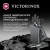 Набор ножей кухон. Victorinox Grand Maitre Cutlery Block 7.7243.6 (7.7243.6) компл.:6предм. с подставкой черный подар.коробка