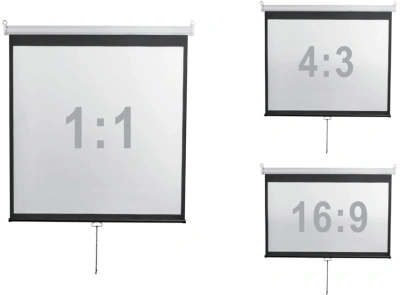 Экран Digis 248x144см Optimal-D DSOD-16905 16:9 настенный рулонный белый