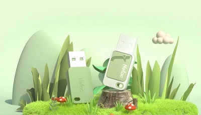 Флеш Диск Netac 8Gb UA31 NT03UA31N-008G-20BL USB2.0 синий