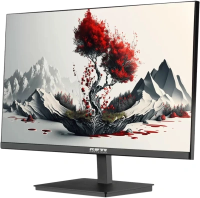 Монитор RDW Computers 23.8" RDW2401K черный IPS 4ms 16:9 HDMI M/M матовая HAS Piv 1200:1 300cd 178гр/178гр 1920x1080 100Hz VGA DP FHD 1.7кг (RUS)
