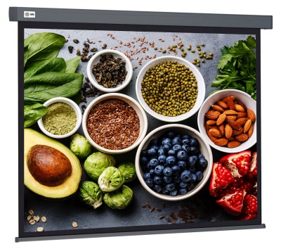 Экран Cactus 84" 150x150см Wallscreen CS-PSW-150X150-SG 1:1 настенно-потолочный рулонный серый