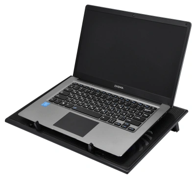 Подставка для ноутбука Digma D-NCP170-2 17"390x270x27мм 20дБ 2xUSB 2x 150ммFAN 600г черный