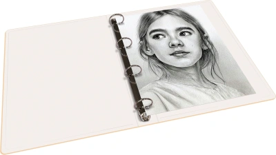 Папка панорама на 4-х кольцах Бюрократ Неон DNE0740/4ROR A4 пластик 0.7мм кор.40мм карм.на лиц.стор. оранжевый