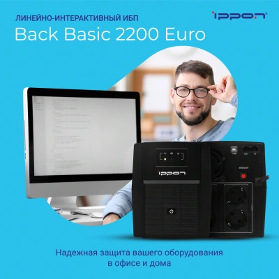 Источник бесперебойного питания Ippon Back Basic 2200 Euro 1320Вт 2200ВА черный