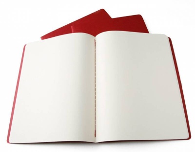 Блокнот Moleskine CAHIER JOURNAL QP423 XLarge 190х250мм обложка картон 120стр. нелинованный бежевый (3шт)