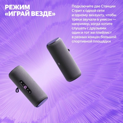 Умная колонка Yandex Станция Стрит Алиса серый 30W 2.0 BT/Wi-Fi 10м 3300mAh (YNDX-00030GRY)