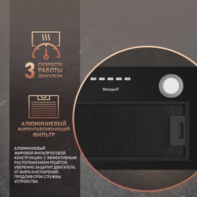 Вытяжка встраиваемая Weissgauff Fiona 60 BL черный управление: кнопочное (1 мотор)