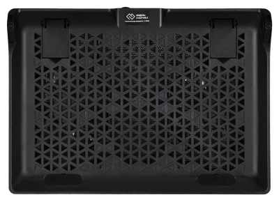 Подставка для ноутбука Digma D-NCP156-2 15.6"360x260x27мм 2xUSB 2x 120ммFAN 650г черный