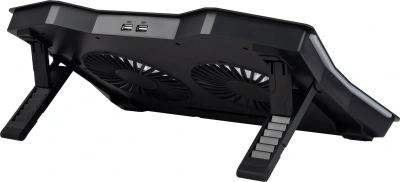 Подставка для ноутбука Digma D-NCP180-2x110RGB 18" 410x280x34мм 20дБ 2xUSB 2x 110ммFAN 700г Fan-control пластик ABS черный