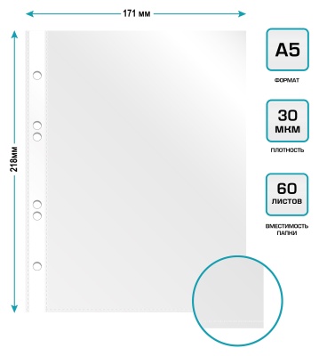 Папка-вкладыш Бюрократ Премиум -013A5 глянцевые A5 30мкм (упак.:100шт)