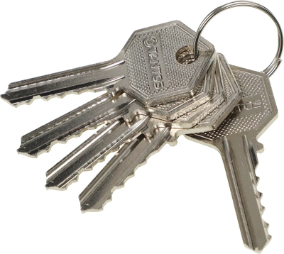 Цилиндр Tantos TS-EL2369ST (00-00041902)