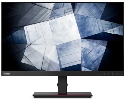 Монитор Lenovo 23.8" ThinkVision P24h-2L черный IPS 6ms 16:9 HDMI M/M матовая HAS Piv 300cd 178гр/178гр 2560x1440 60Hz DP 2K USB 6.39кг
