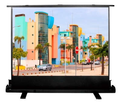 Экран Cactus 79" 120x160см FloorExpert CS-PSFLE-160X120 4:3 напольный рулонный