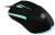 Мышь Оклик 245M черный оптическая 1000dpi USB 3but (471479)