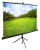 Экран Cactus 98" 150x200см TriExpert CS-PSTE-200x150-BK 4:3 напольный рулонный черный Экран Cactus 98" 150x200см TriExpert CS-PSTE-200x150-BK 4:3 напольный рулонный черный