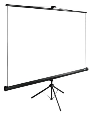 Экран Cactus 111" 200x200см TriExpert CS-PSTE-200x200-BK 1:1 напольный рулонный черный