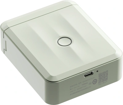 Термопринтер Niimbot D110 M (1746804) 203dpi 40мм/с/USB/BT для печ.этик. зеленый