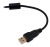 Клавиатура Оклик 709G черный USB for gamer LED (1788144) кабель 1.8м Клавиатура Оклик 709G черный USB for gamer LED (1788144) кабель 1.8м