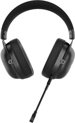 Наушники с микрофоном Acer AHW122 черный 2.1м мониторные USB оголовье (ZL.HDSCC.01U)