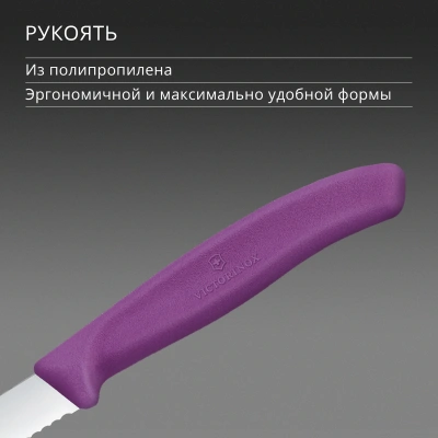 Нож кухонный Victorinox Swiss Classic (6.7635.C1) стальной универсальный для чистки овощей и фруктов лезв.80мм серрейт. заточка пурпурный