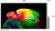 Телевизор OLED LG 83" OLED83B6RLA.ARUG коричневый/серый 4K Ultra HD 120Hz DVB-T2 DVB-C DVB-S2 USB WiFi Smart TV Телевизор OLED LG 83" OLED83B6RLA.ARUG коричневый/серый 4K Ultra HD 120Hz DVB-T2 DVB-C DVB-S2 USB WiFi Smart TV